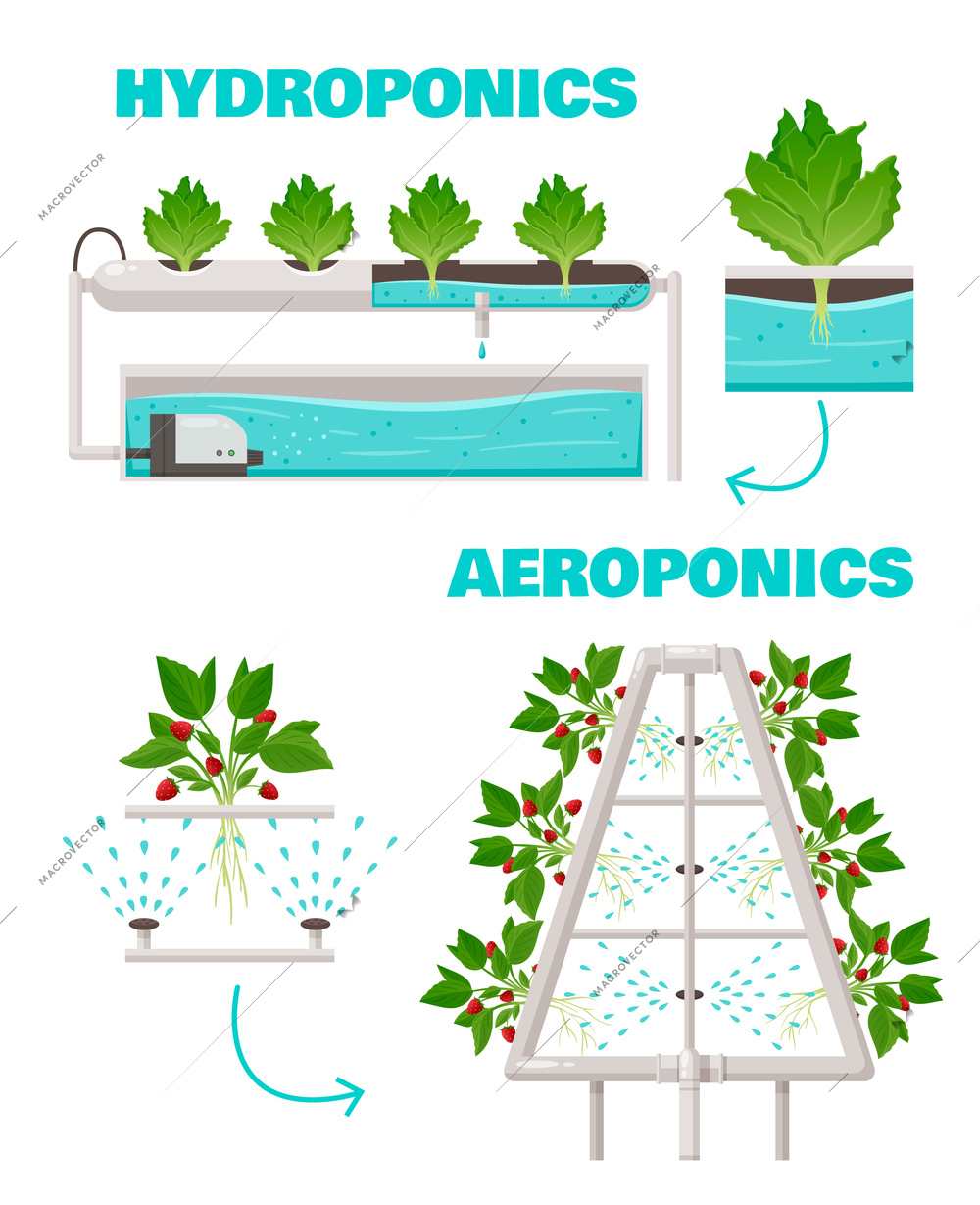 Hydroponics and aeroponics concept with watering and fast growth symbols cartoon vector illustration