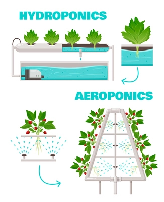 Hydroponics and aeroponics concept with watering and fast growth symbols cartoon vector illustration