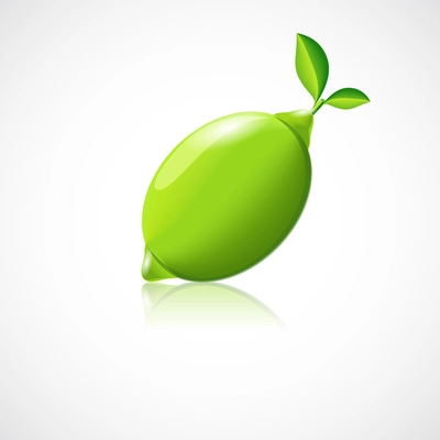 Lime fruit icon with reflection in glossy style vector illustration