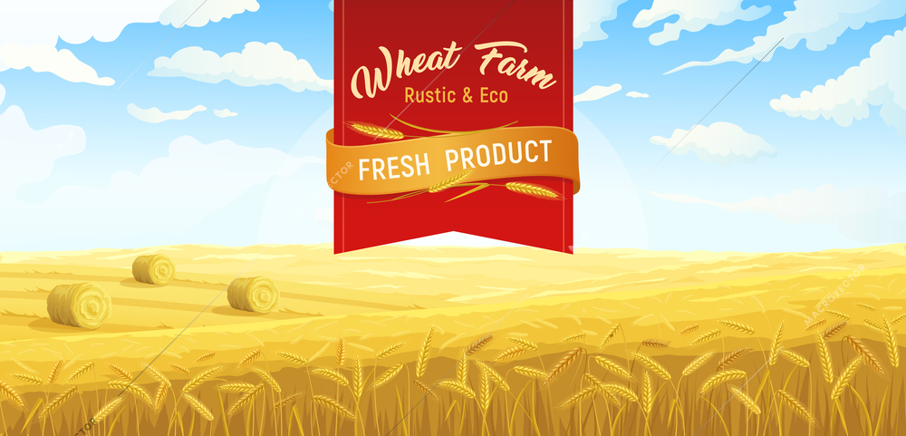 Farm scene rural fields wheat poster with red ribbon ornate text and outdoor scenery with field vector illustration