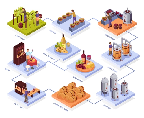 Wine production flowchart with pressing and fermentation symbols isometric  vector illustration