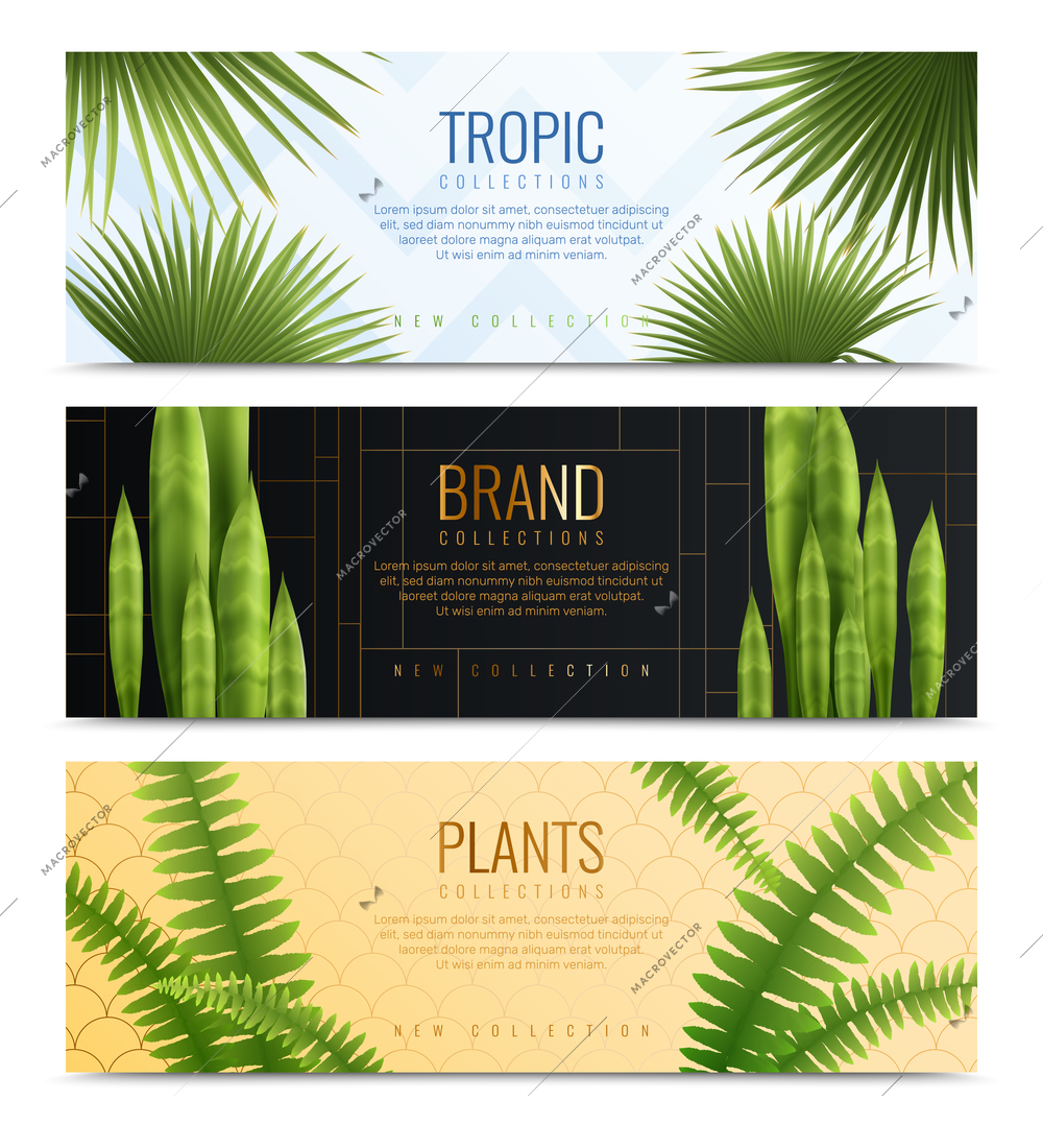 Three house plants in pot banners realistic banner set with tropic brand and plants collection headlines vector illustration