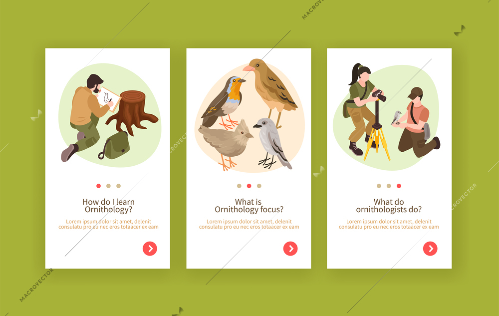 Ornithologist profession practical aspects birds biology studies research methods 3 vertical isometric banners green background vector illustration