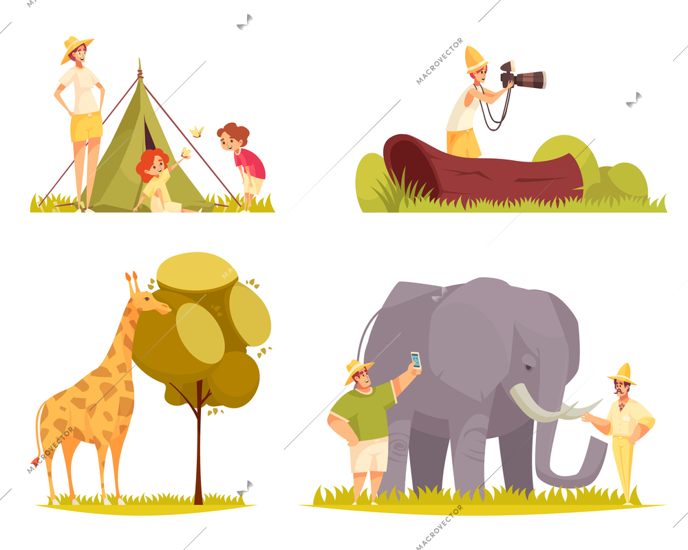 Safari travel concept 4 flat funny compositions with giraffe eating tree leaves family outside tent vector illustration