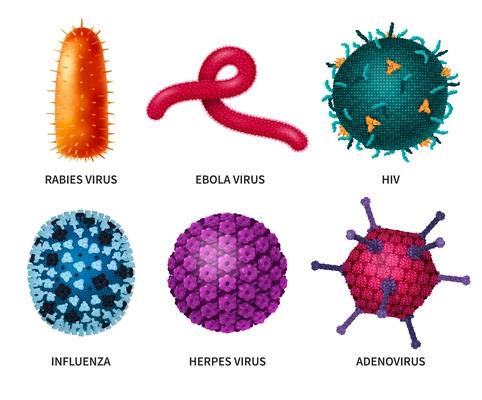 Viruses realistic set with six isolated colourful images of microbe and bacteria with editable text captions vector illustration