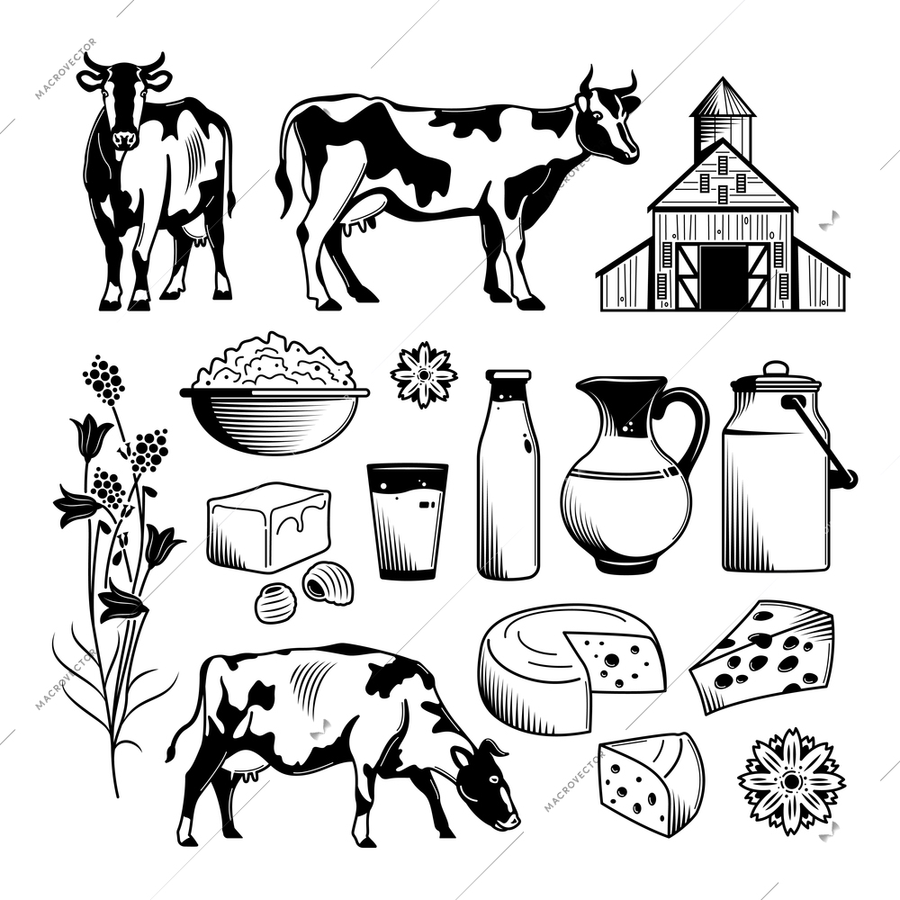 Milk farm engraving hand drawn set of curd cheese sour cream natural products isolated vector illustration