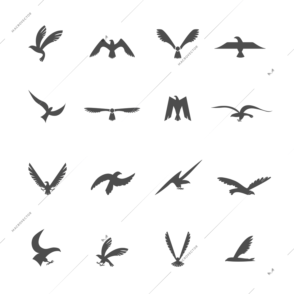Set of eagles heraldic silhouette wings and bird icons set vector illustration