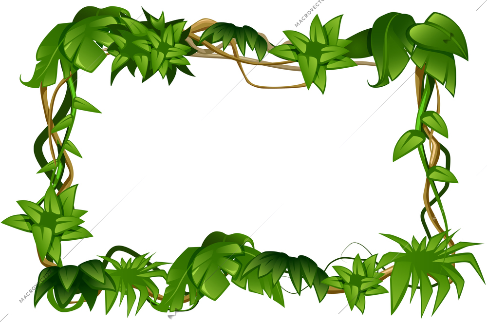 Tropical rain-forest climbing liana vine lush green leaves decorative  rectangular cartoon frame white background vector illustration