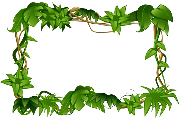 Tropical rain-forest climbing liana vine lush green leaves decorative  rectangular cartoon frame white background vector illustration