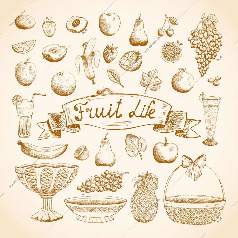 Sketches of juicy fresh fruits orange, grape, apple, strawberry, cherry and others vector illustration