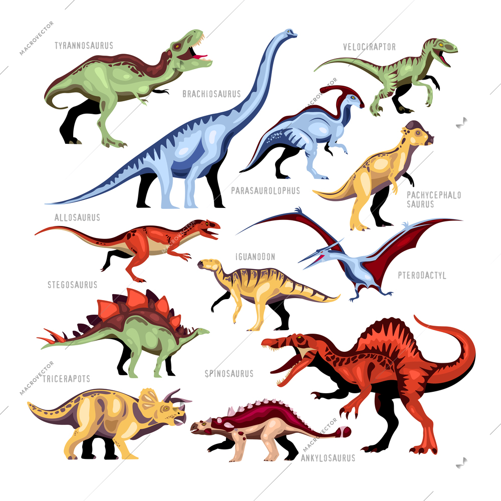 Dinosaur color cartoon set of different kinds of jurassic fossils persons with description isolated vector illustration