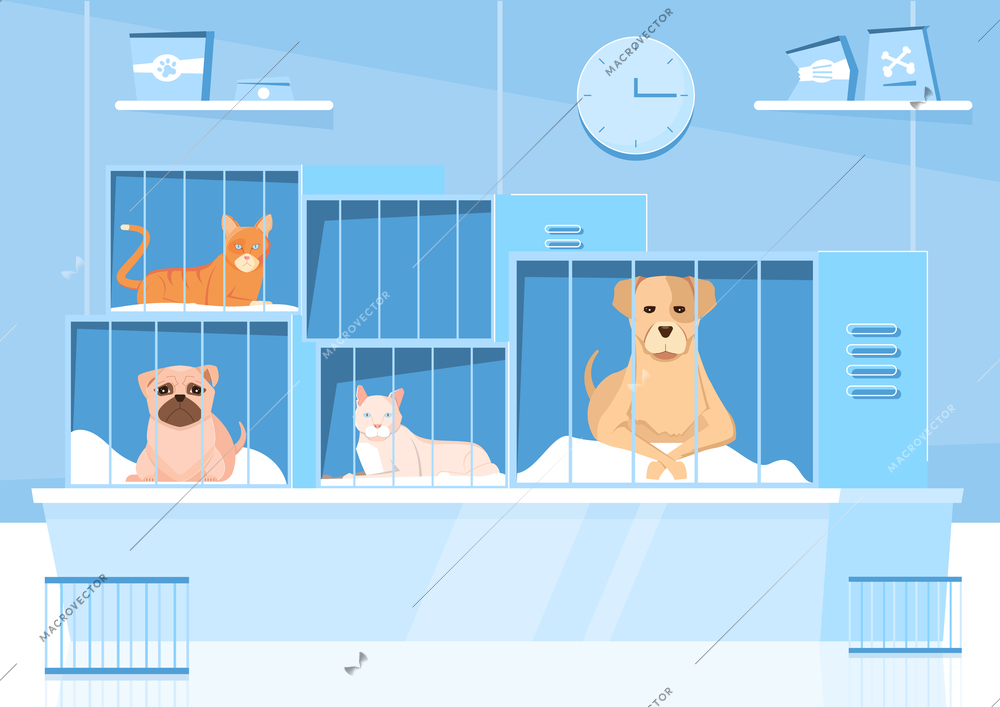 Animal shelter composition with indoor scenery and flat characters of pets in cages of different size vector illustration