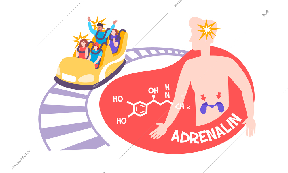 Adrenalin hormone flat composition with text chemical formula of adrenaline and people taking roller coaster ride vector illustration