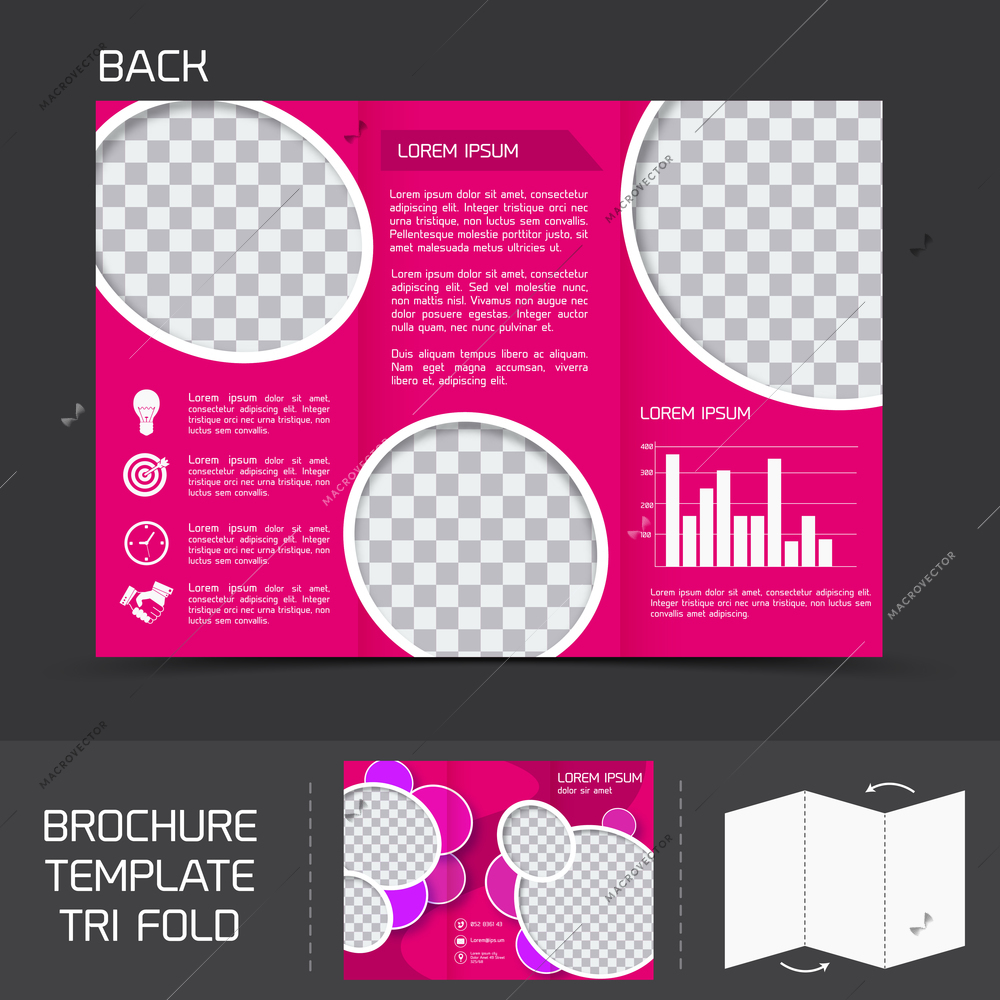 Pink business paper brochure leaflet tri-fold design back template with charts vector illustration
