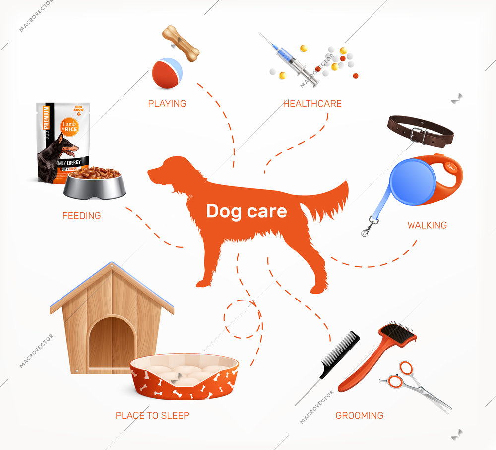 Dog care infographics layout with healthcare feeding walking grooming playing place to sleep realistic elements vector illustration