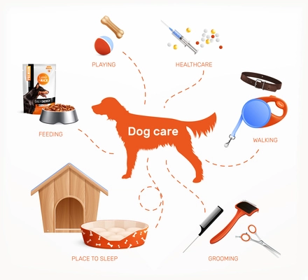 Dog care infographics layout with healthcare feeding walking grooming playing place to sleep realistic elements vector illustration