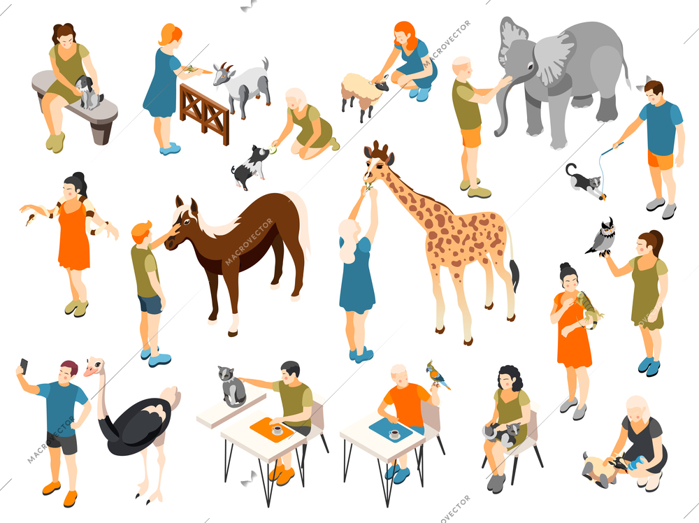 Contact zoo icons set with feeding animals symbols isometric isolated vector illustration