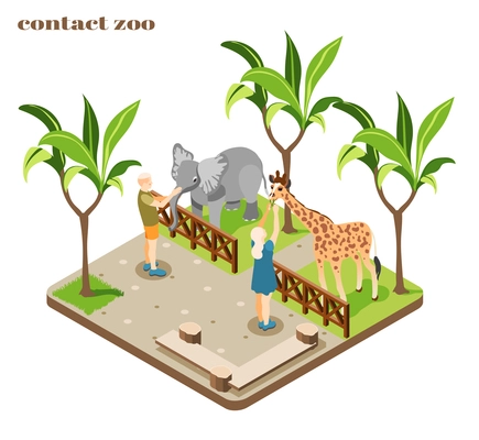 Colored and isometric contact zoo composition with staff feed elephant and giraffe vector illustration