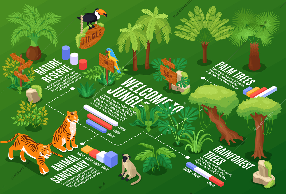 Isometric jungle horizontal composition with flowchart graphs and text captions with exotic plants and wild animals vector illustration