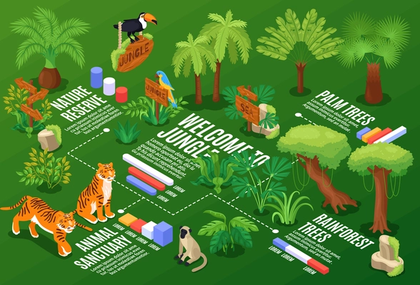 Isometric jungle horizontal composition with flowchart graphs and text captions with exotic plants and wild animals vector illustration