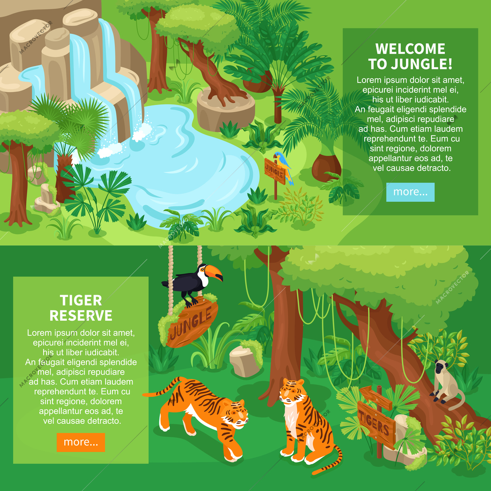 Set of two isometric jungle banners with exotic tropical landscapes animals and text with more buttons vector illustration