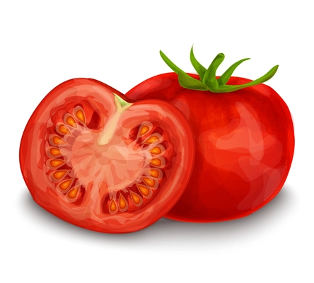 Vegetable organic food ripe tomato cut with seeds isolated on white background vector illustration