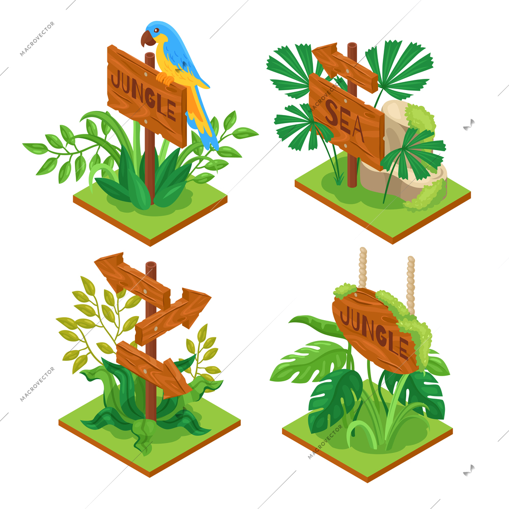 Isometric jungle wooden sign set of four isolated engraved boards with jungle plants on blank background vector illustration