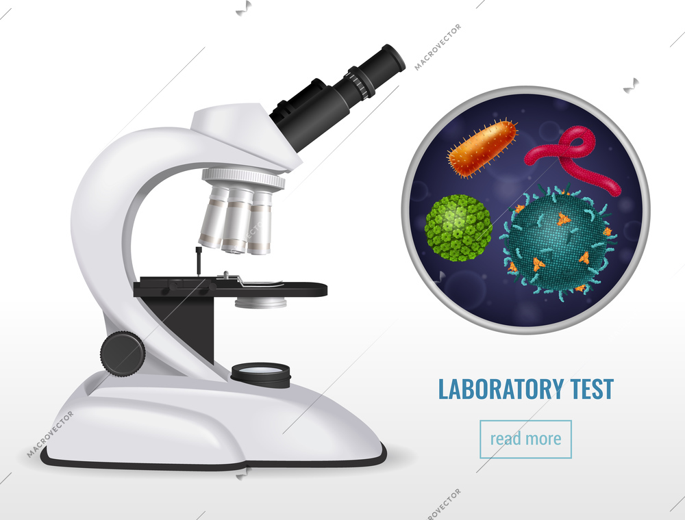 Viruses horizontal banner with realistic images of microscope bacteria images and text with read more button vector illustration