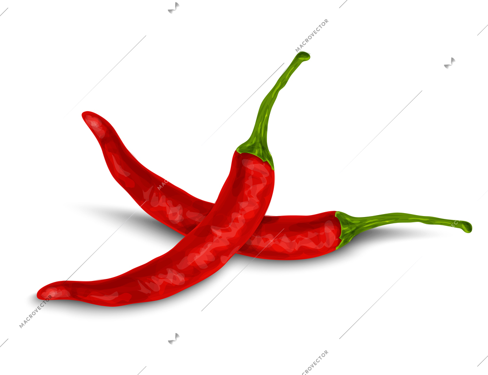 Vegetable organic food red chili pepper isolated on white background vector illustration