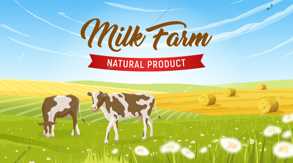 Milk farm realistic background with two cows grazing field vector illustration