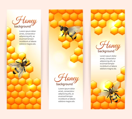 Honey bee on comb background vertical banners set isolated vector illustration