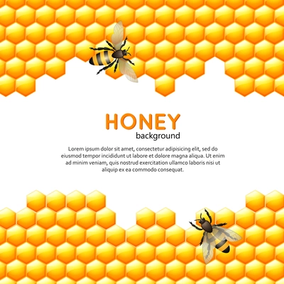 Flying bees with sweet honey comb ornate background vector illustration