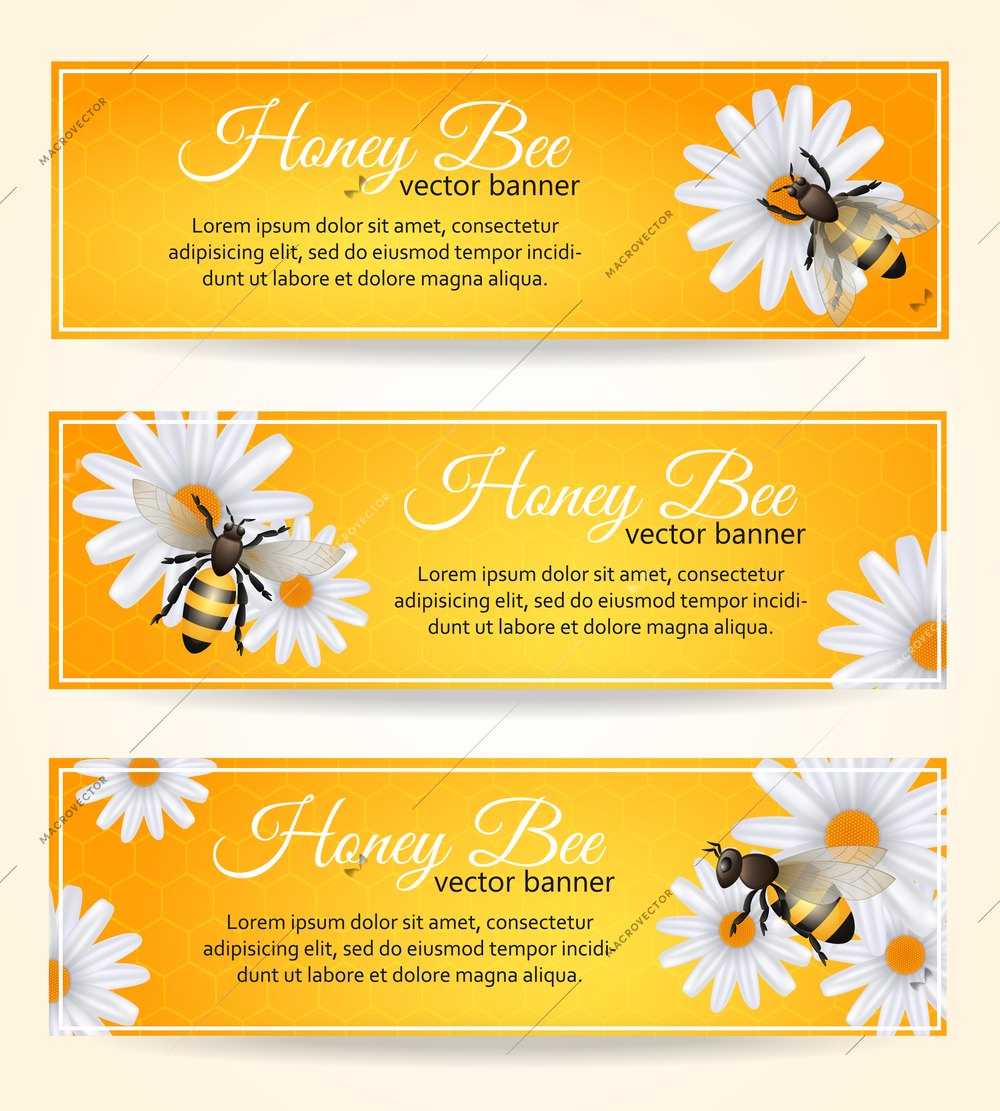 Honey bee on daisy flower with comb pattern banners set isolated vector illustration