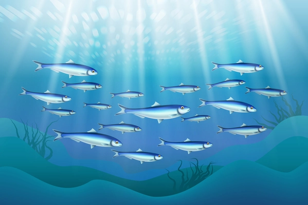 Fish colony schooling close to ocean bottom realistic underwater image with sun rays penetrating water vector illustration