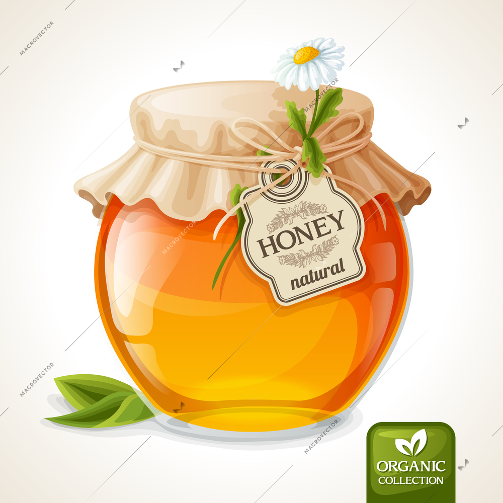 Natural sweet golden organic honey in glass jar with tag and paper cover vector illustration