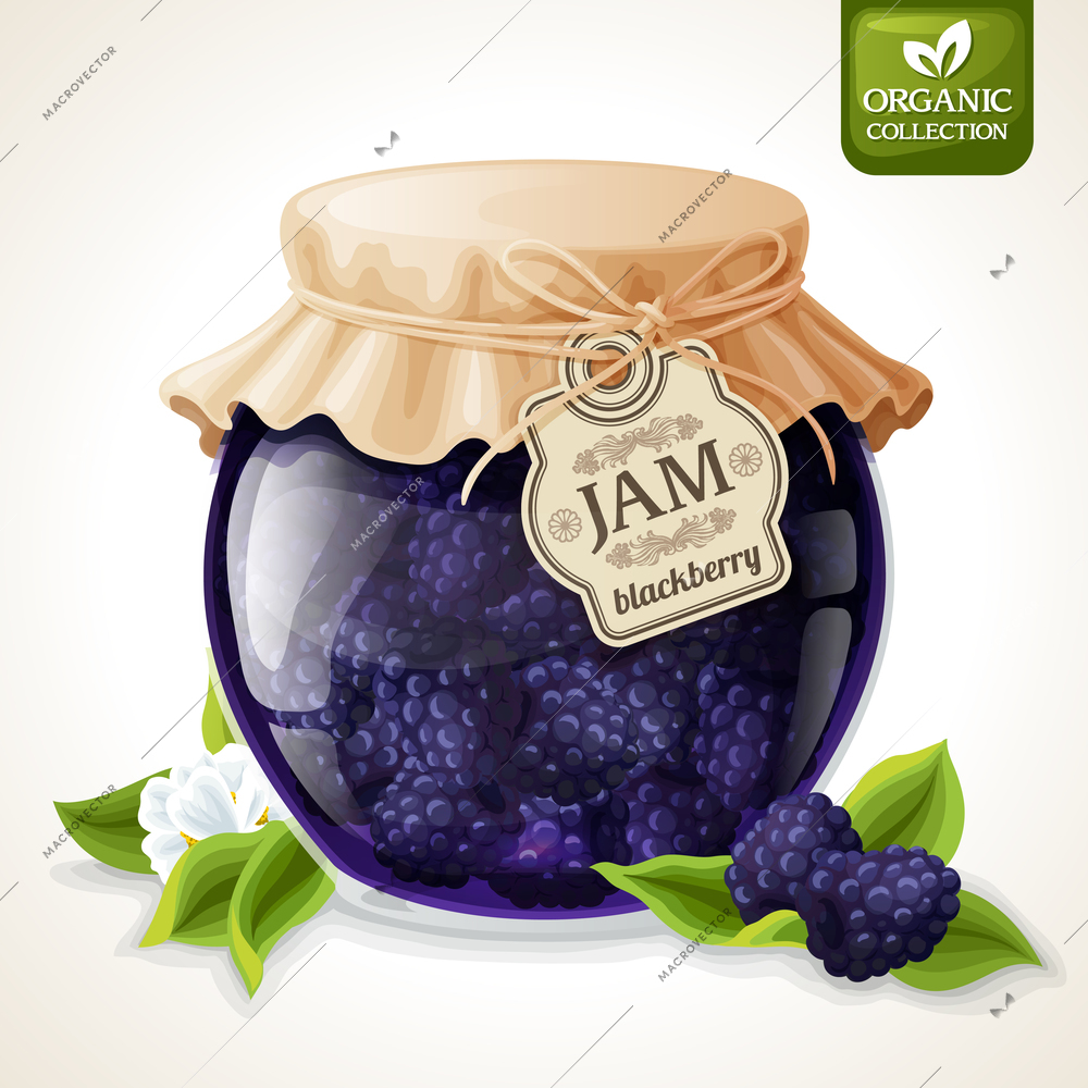 Natural organic homemade forest blackberry jam in glass jar with tag and paper cover vector illustration