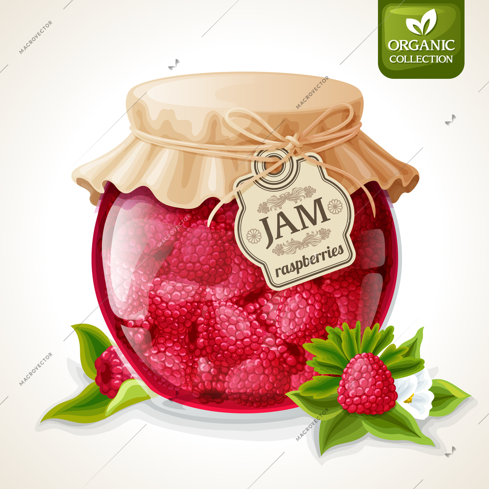 Natural organic homemade fresh ripe raspberry jam in glass jar with tag and paper cover vector illustration