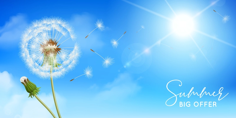 Realistic dandelions composition with text sky background with sun and flowers with feathers and editable text vector illustration