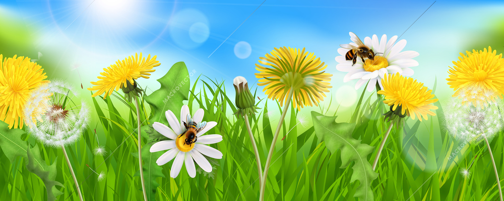 Realistic dandelions background composition with sky sun light specks and natural grass with bees and flowers vector illustration