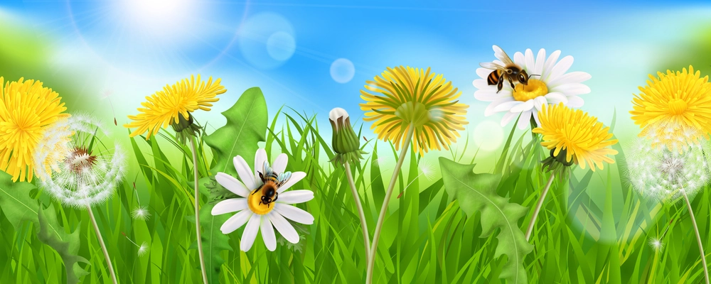 Realistic dandelions background composition with sky sun light specks and natural grass with bees and flowers vector illustration