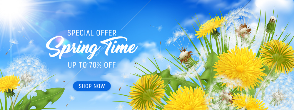 Realistic dandelions horizontal poster with clickable shop now button editable advertising text and natural sky landscape vector illustration