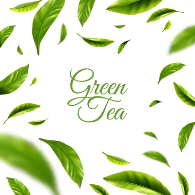 Green tea background with frame of scattered green leaves around text abstract vector illustration