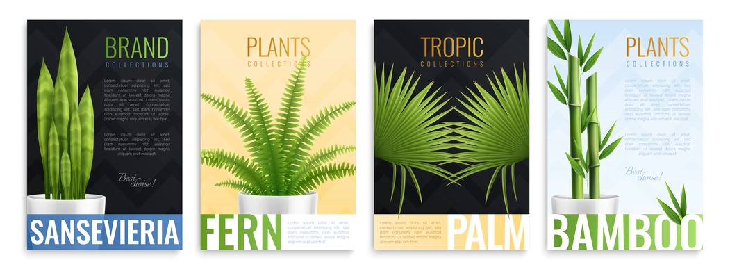 Realistic house plants in pot cards set with sansevieria fern palm and bamboo descriptions vector illustration