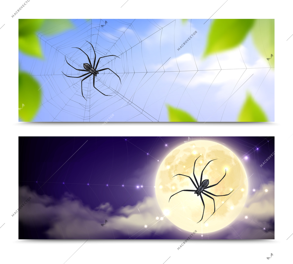 Two horizontal and realistic black spiders banner set with spiders weaving cobwebs day and night vector illustration