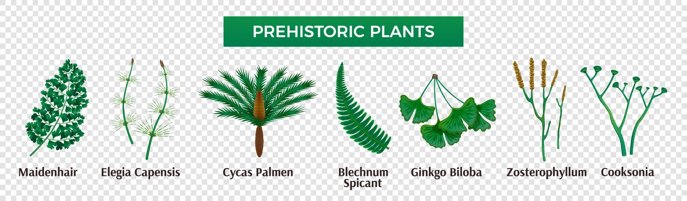 Prehistoric plants horizontal set with isolated images of herbs with editable text captions on transparent background vector illustration