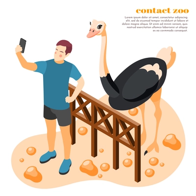 Contact zoo isolated composition big headline and man made selfie with ostrich vector illustration