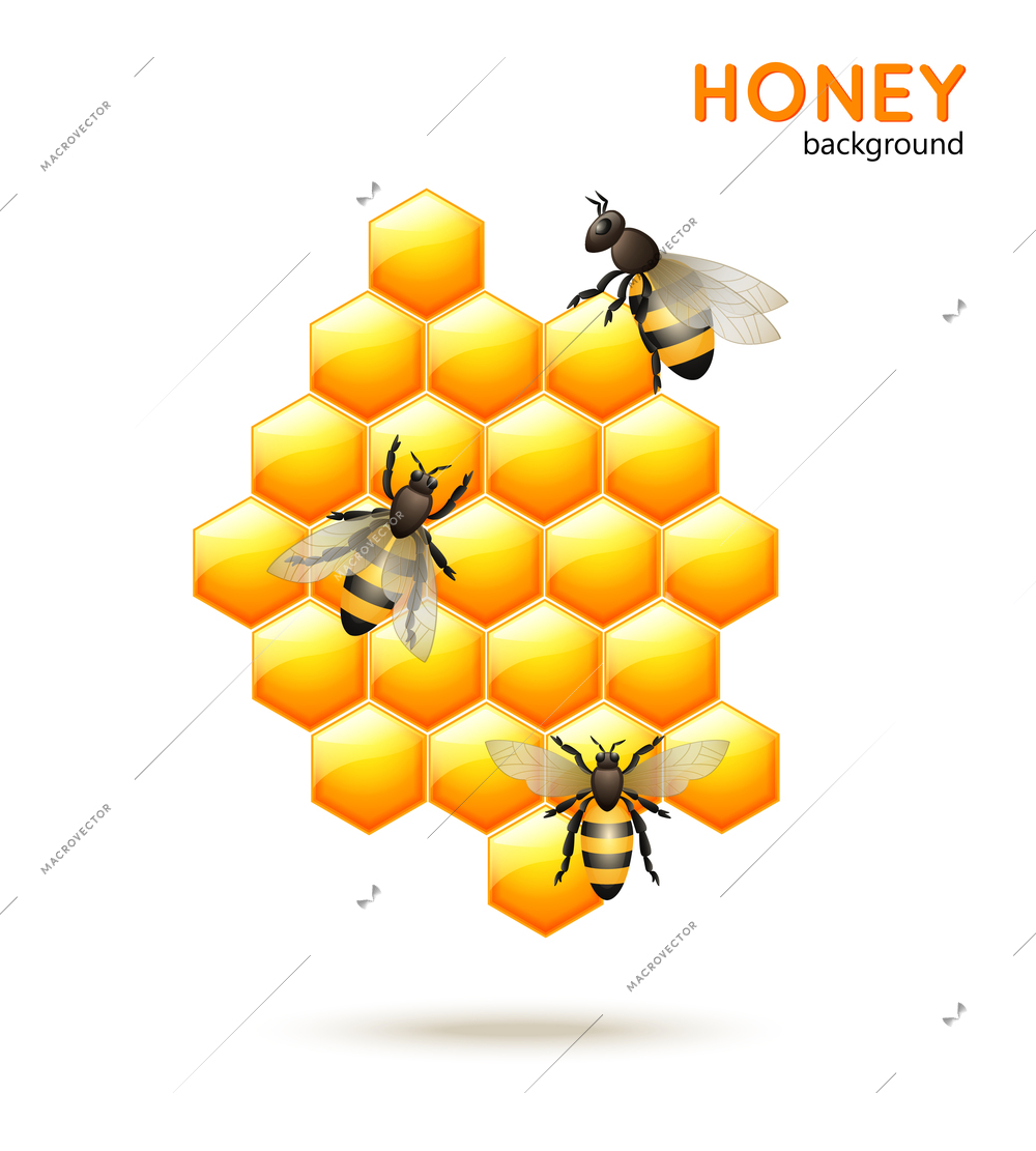 Sweet honey comb with bees workers background vector illustration