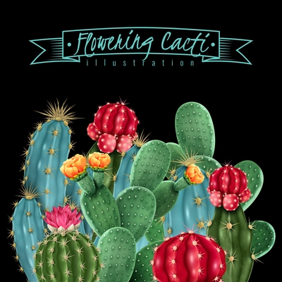 Flowering cacti colorful botanical composition on black background including gymnocalycium and pin cushion cactus vector illustration