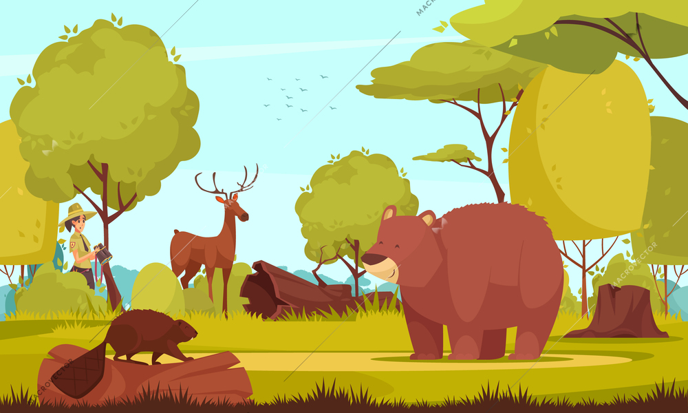 Woman forest ranger watching wild animals in forest cartoon vector illustration