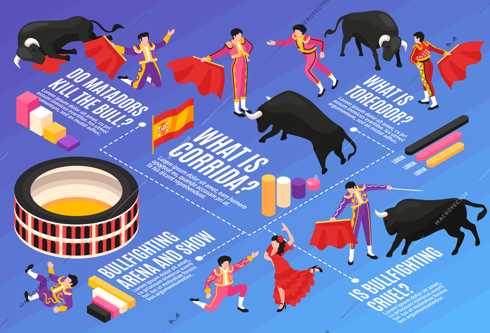 Isometric bullfight horizontal flowchart composition with editable text graphs and characters of toreador with fight bulls vector illustration